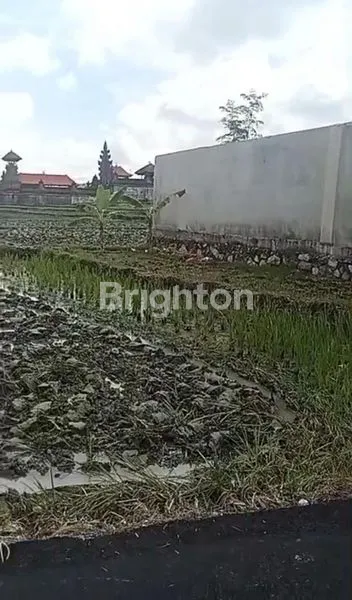 image TANAH KOSONG CEMAGI 300M² HANYA 2 MENIT KE PANTAI MENGENING CEMAGI (7)