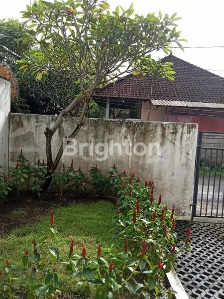 image RUMAH MINIMALIS SIAP HUNI DI DENPASAR (7)