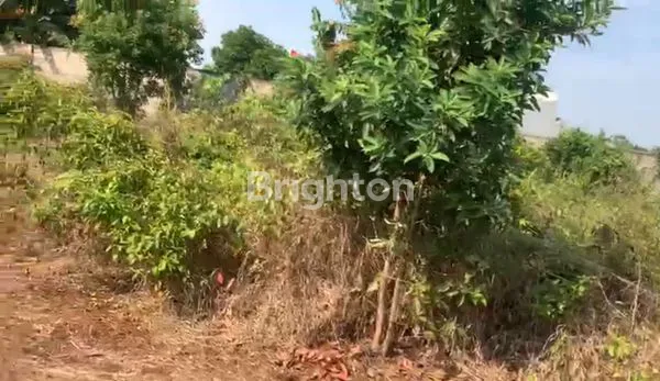 image TANAH 9.918 METET READY DI BANGUN (5)