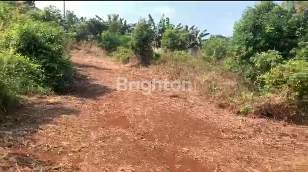 image TANAH 9.918 METET READY DI BANGUN (3)