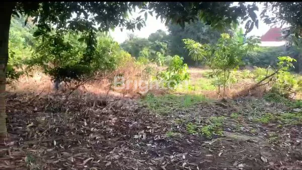 image TANAH 9.918 METET READY DI BANGUN (8)