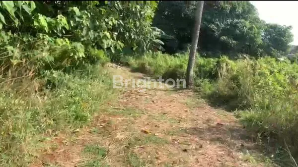 image TANAH 9.918 METET READY DI BANGUN (2)