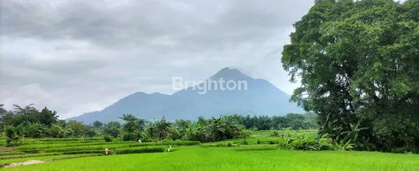 image TANAH LUAS 13.577M² SHM, VIEW GUNUNG DI PRIGEN (1)