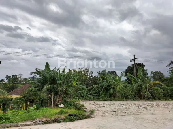 image TANAH LUAS 13.577M² SHM, VIEW GUNUNG DI PRIGEN (2)