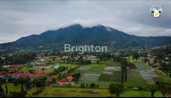 image RUMAH CISARUA (2)