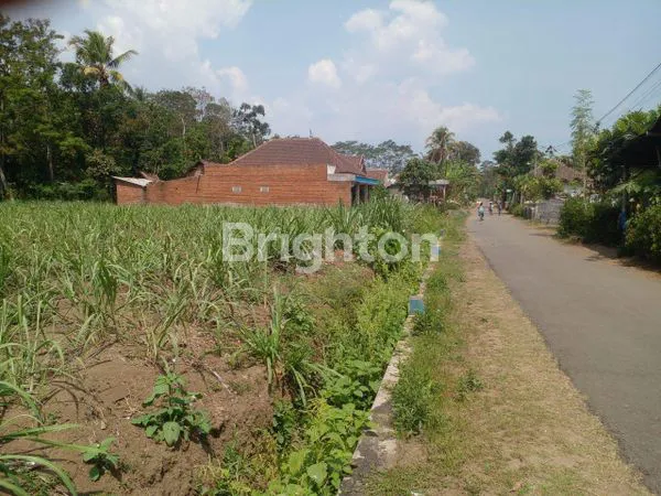 image DIJUAL TANAH COCOK DIBUAT PERUMAHAN (1)