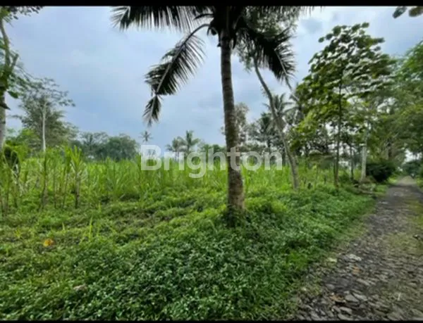 image DIJUAL TANAH COCOK DIBUAT PERUMAHAN (3)