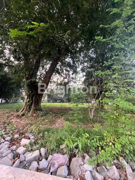 image TANAH KOSONG DI KOMPLEK MEWAH CEMARA ASRI (1)