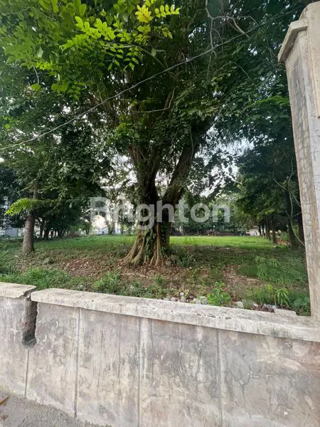 image TANAH KOSONG DI KOMPLEK MEWAH CEMARA ASRI (3)