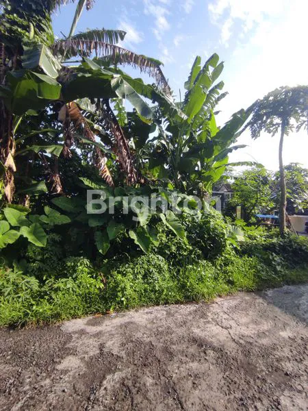 image TANAH SIAP BANGUN DI SANGGULAN TABANAN (4)