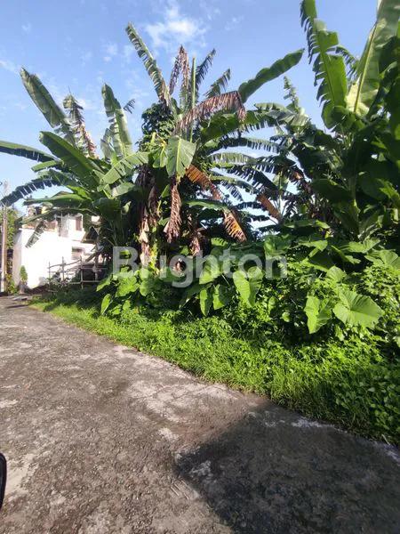 image TANAH SIAP BANGUN DI SANGGULAN TABANAN (2)