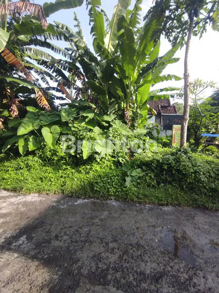 image TANAH SIAP BANGUN DI SANGGULAN TABANAN (7)