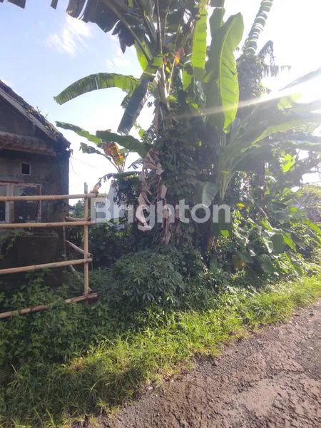 image TANAH SIAP BANGUN DI SANGGULAN TABANAN (3)