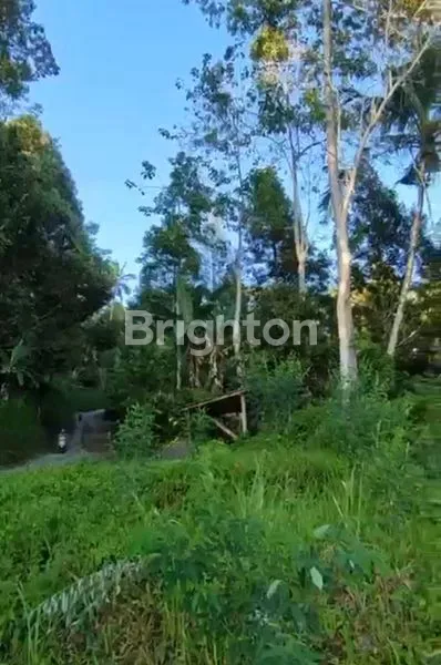 image TANAH 40 ARE DI MUNCAN, SIDEMEN – VIEW GUNUNG AGUNG, SUNGAI & SAWAH, ZONA KUNING SHM (5)