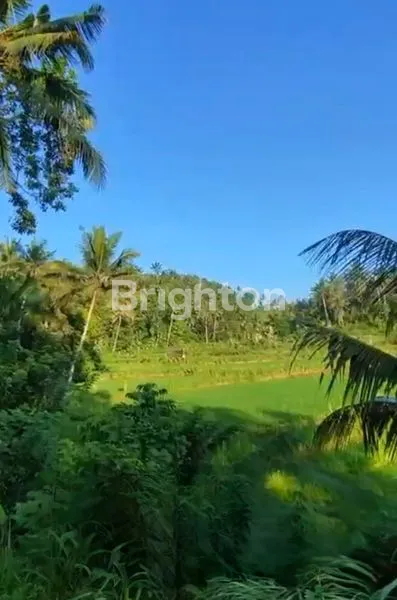 image TANAH 40 ARE DI MUNCAN, SIDEMEN – VIEW GUNUNG AGUNG, SUNGAI & SAWAH, ZONA KUNING SHM (2)