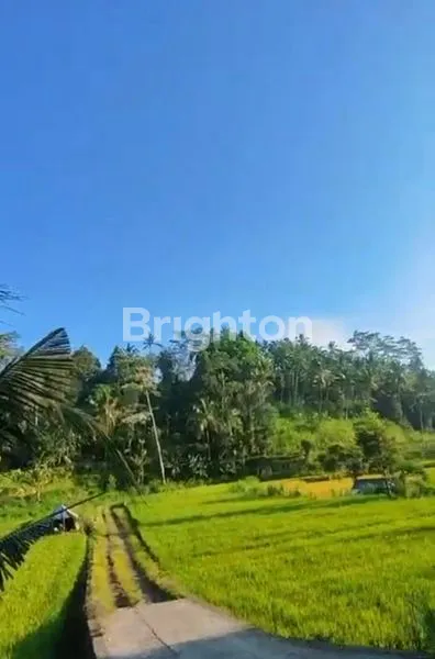 image TANAH 40 ARE DI MUNCAN, SIDEMEN – VIEW GUNUNG AGUNG, SUNGAI & SAWAH, ZONA KUNING SHM (1)