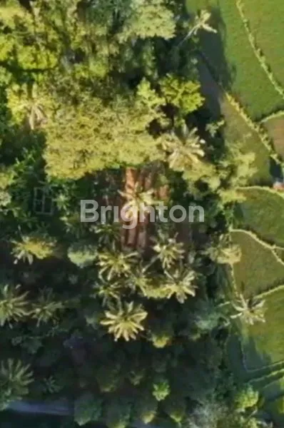 image TANAH 40 ARE DI MUNCAN, SIDEMEN – VIEW GUNUNG AGUNG, SUNGAI & SAWAH, ZONA KUNING SHM (4)