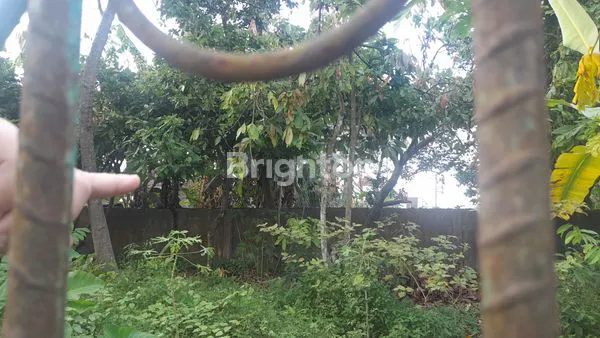 image TANAH LUAS 2.128M² DI BINJAI TIMUR, LOKASI STRATEGIS (3)