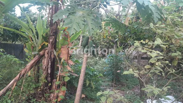 image TANAH LUAS 2.128M² DI BINJAI TIMUR, LOKASI STRATEGIS (2)