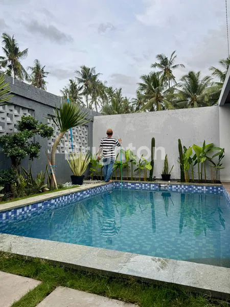 image VILLA EKSKLUSIF DI LOVINA  SIAP HUNI  (2)