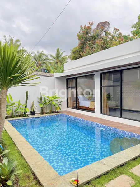 image VILLA EKSKLUSIF DI LOVINA  SIAP HUNI  (1)