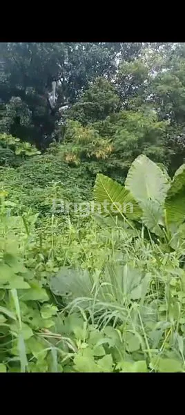 image LAHAN KOSONG CIRACAS (2)