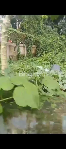 image LAHAN KOSONG CIRACAS (1)