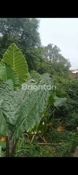 image LAHAN KOSONG CIRACAS (3)