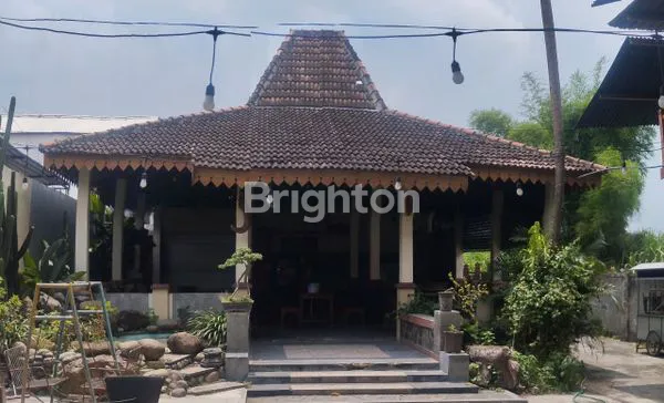image RUMAH JOGLO COCOK UTK COFFEE SHOP DI KATANG KAB KEDIRI (1)