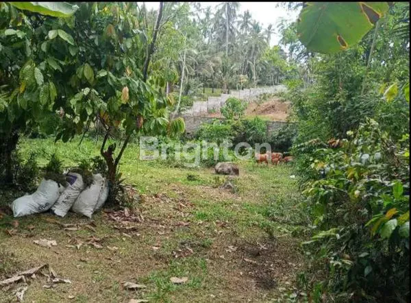 image DIJUAL CEPAT TANAH KAVLING SHM – TABANAN (2)