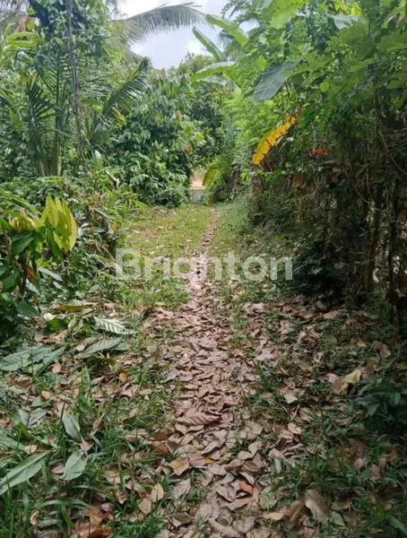 image DIJUAL CEPAT TANAH KAVLING SHM – TABANAN (3)