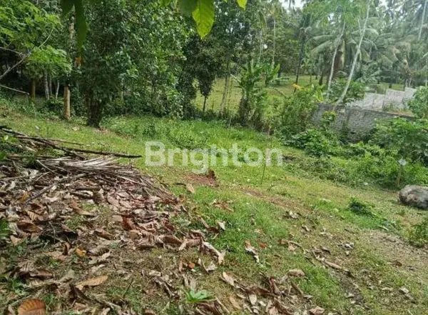 image DIJUAL CEPAT TANAH KAVLING SHM – TABANAN (4)
