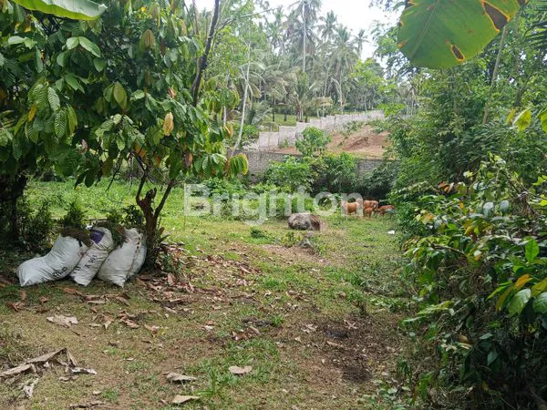 image DIJUAL CEPAT TANAH KAVLING SHM – SELEMADEG TABANAN (2)