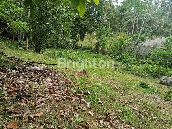 image DIJUAL CEPAT TANAH KAVLING SHM – SELEMADEG TABANAN (3)