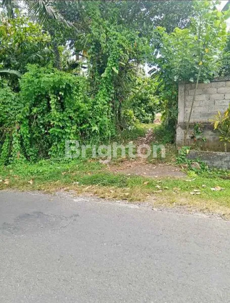 image DIJUAL CEPAT TANAH KAVLING SHM – SELEMADEG TABANAN (4)