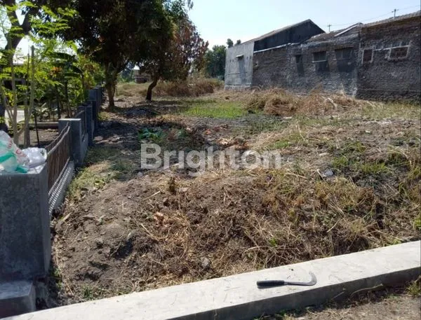 image TANAH HOOK DI KARTASURA (1)