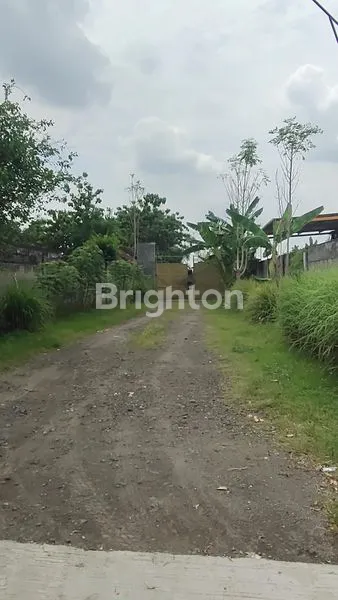 image JUAL TANAH DIJALAN RAYA KOTAMADYA KEDIRI,JAWA TIMUR (4)