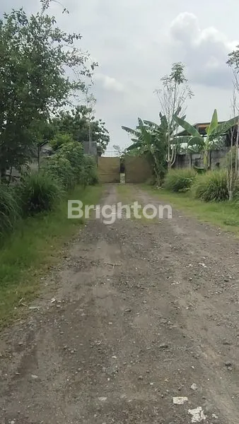 image JUAL TANAH DIJALAN RAYA KOTAMADYA KEDIRI,JAWA TIMUR (3)