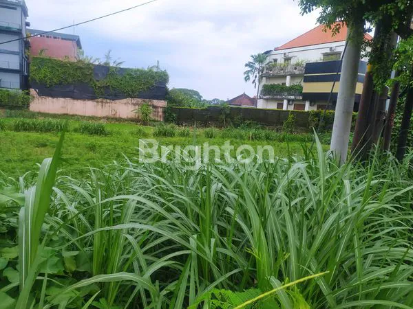 LAHAN LUAS 11 ARE DI LOKASI PREMIUM SANUR