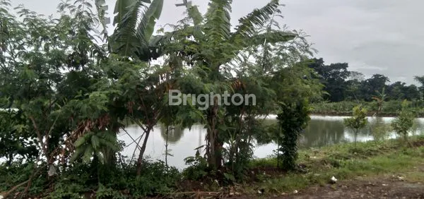 image FOR SALE TANAH KAVLING STRATEGIS CIKARET DEKAT FASILITAS UMUM HARGA TERJANGKAU DI BOGOR (7)