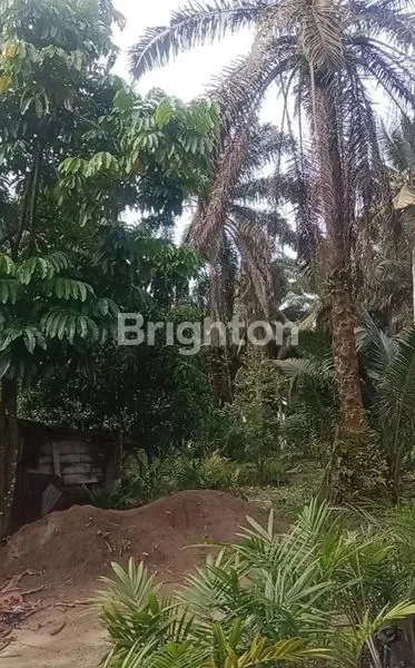 image TANAH KOMERSIAL 121.154 M2 DI JL GARUDA SAKTI (5)