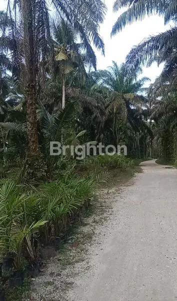 image TANAH KOMERSIAL 121.154 M2 DI JL GARUDA SAKTI (2)