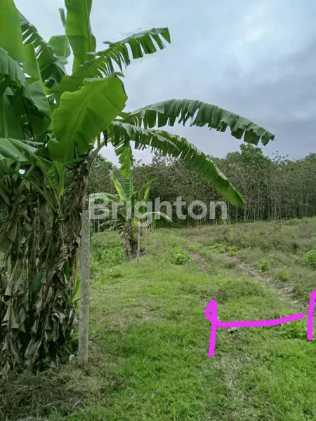 image DIJUAL *LAHAN AREA BISNIS INDUSTRI*KAB BLITAR (4)