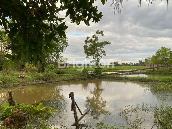 image DIJUAL TANAH STRATEGIS TEPI JALAN RAYA BY PASS KOTA PADANG SHM – COCOK KOMERSIAL & PERUMAHAN ELITE (3)