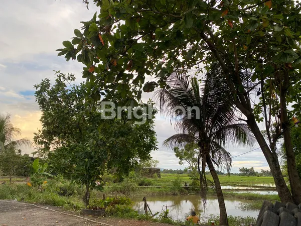 image DIJUAL TANAH STRATEGIS TEPI JALAN RAYA BY PASS KOTA PADANG SHM – COCOK KOMERSIAL & PERUMAHAN ELITE (4)