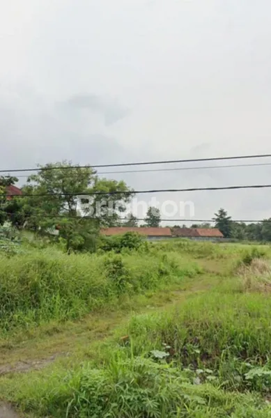 image DIJUAL TANAH LUAS STRATEGIS DI TENJO (4)