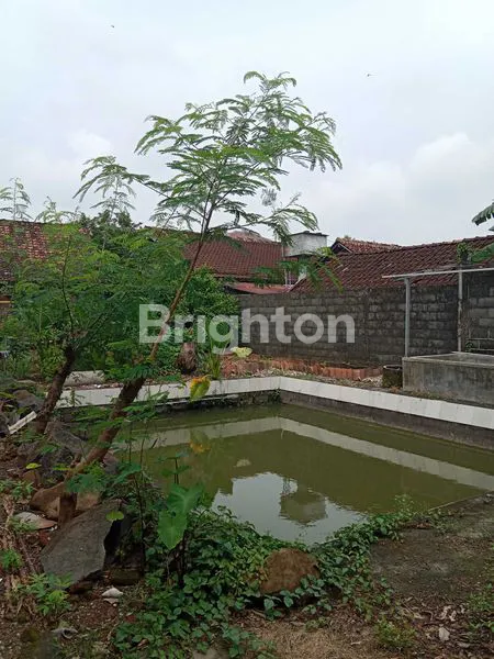 image TANAH STRATEGIS 900M², DEKAT KANTOR BUPATI KENDAL (2)