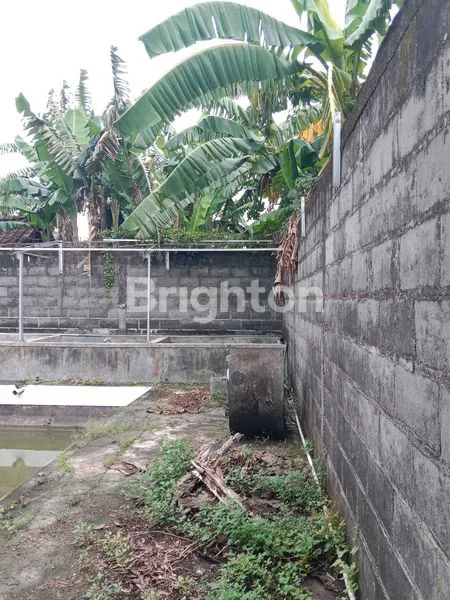 image TANAH STRATEGIS 900M², DEKAT KANTOR BUPATI KENDAL (3)