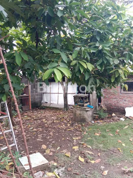 image TANAH STRATEGIS 900M², DEKAT KANTOR BUPATI KENDAL (5)