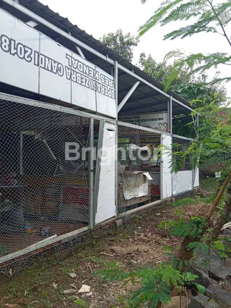 image TANAH STRATEGIS 900M², DEKAT KANTOR BUPATI KENDAL (1)